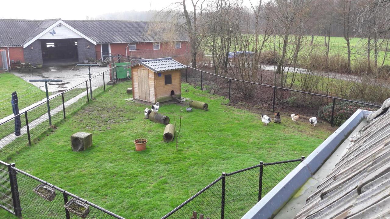 Bed & Breakfast “ Gastvrij Onthaal “ Een-West Zewnętrze zdjęcie